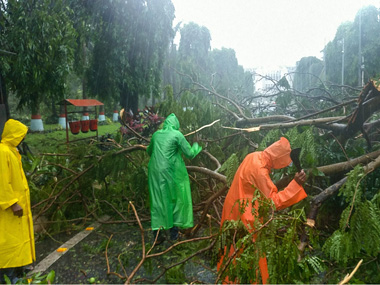 Cyclone Fani survivors: Civic workers battle massive odds in Bhubaneswar as they race against time to normalise power, water supply Cyclone Fani survivors: Civic workers battle massive odds in Bhubaneswar as they race against time to normalise power, water supply