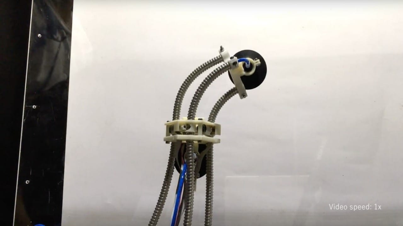This LEeCH a sucker for walls. Image credit: Toyohashi University of Technology