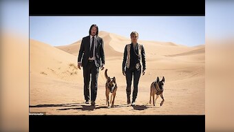 John Wick: Chapter 3 - Parabellum first reactions: Keanu Reeves 'is a force of nature' in a 'living video game'