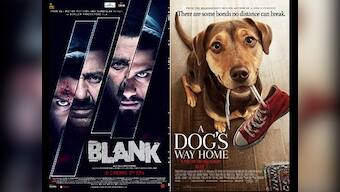 Blank, Setters, Ugly Dolls, A Dog's Way Home: Know Your Releases