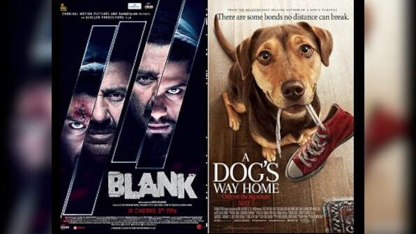 Blank, Setters, Ugly Dolls, A Dog's Way Home: Know Your Releases