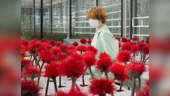 Little Joe review: Jessica Hausner's horticultural thriller updates Invasion of the Body Snatchers to our fake happy era