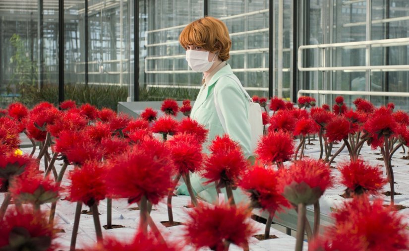 Cannes 2019: Jessica Hausners Little Joe updates Invasion of the Body Snatchers to our fake happy era