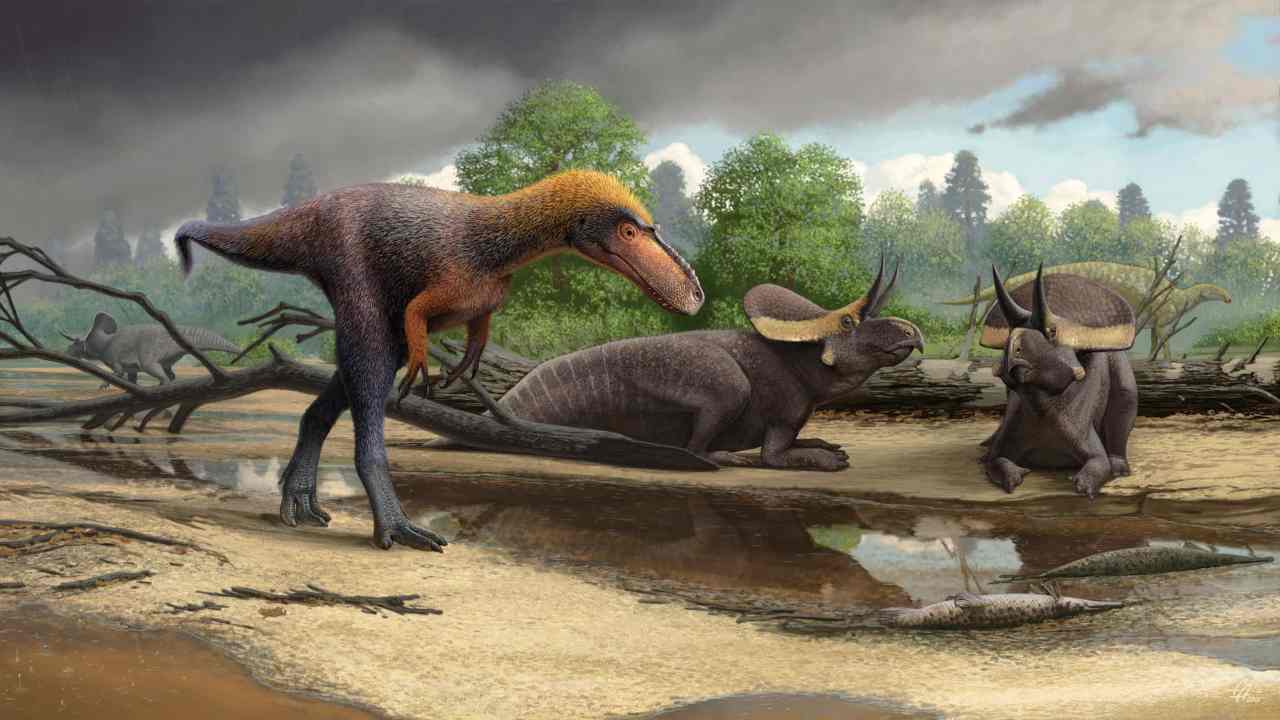 Meet Tyrannosauroid: The three-foot-tall cousin of the mighty Tyrannosaurus  rex-Tech News , Firstpost