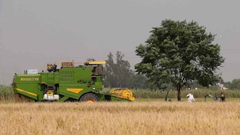 India needs to move its paddy farms out of Punjab, Haryana to prevent desertification