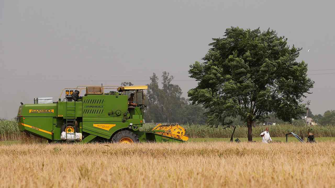 India needs to move its paddy farms out of Punjab, Haryana to prevent desertification India needs to move its paddy farms out of Punjab, Haryana to prevent desertification