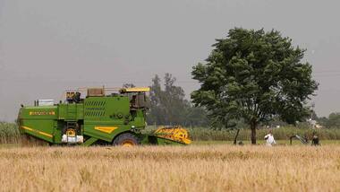 India needs to move its paddy farms out of Punjab, Haryana to prevent desertification