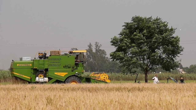 India needs to move its paddy farms out of Punjab, Haryana to prevent desertification India needs to move its paddy farms out of Punjab, Haryana to prevent desertification