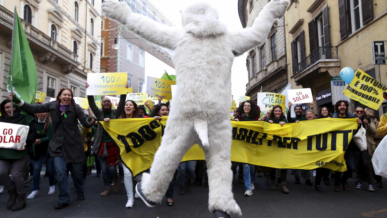 A protester dressed as a bear takes part in a rally held the day before the start of the 2015 Paris World Climate Change Conference, known as the COP21 summit, in Rome