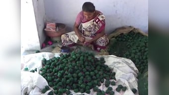 In fireworks capital Sivakasi, crackers ban may impact electoral outcome despite AIADMK-BJP promise for resolution