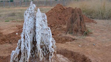 Termite nests show us how to keep buildings cool in a climate change reality