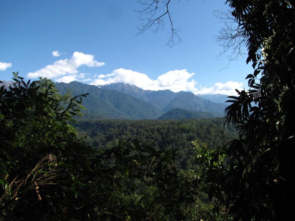 Wet forest landscapes such as those in Namdapha Tiger Reserve, Arunachal Pradesh, Northeast India are highly resilient to climate change. Image: Wikimedia Commons