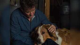 A Dog's Journey movie review: Heartwarming take on human dynamics through the eyes of man's best friend