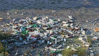 Plastic pollution in water harming bacteria that produces ten percent of our oxygen