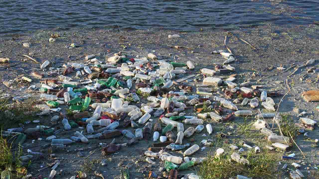Plastic pollution in water harming bacteria that produces ten percent of our oxygen Plastic pollution in water harming bacteria that produces ten percent of our oxygen
