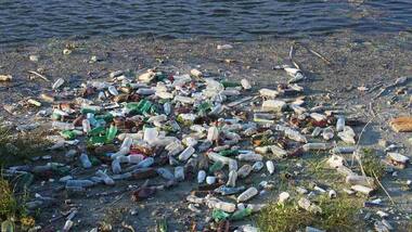 Plastic pollution in water harming bacteria that produces ten percent of our oxygen