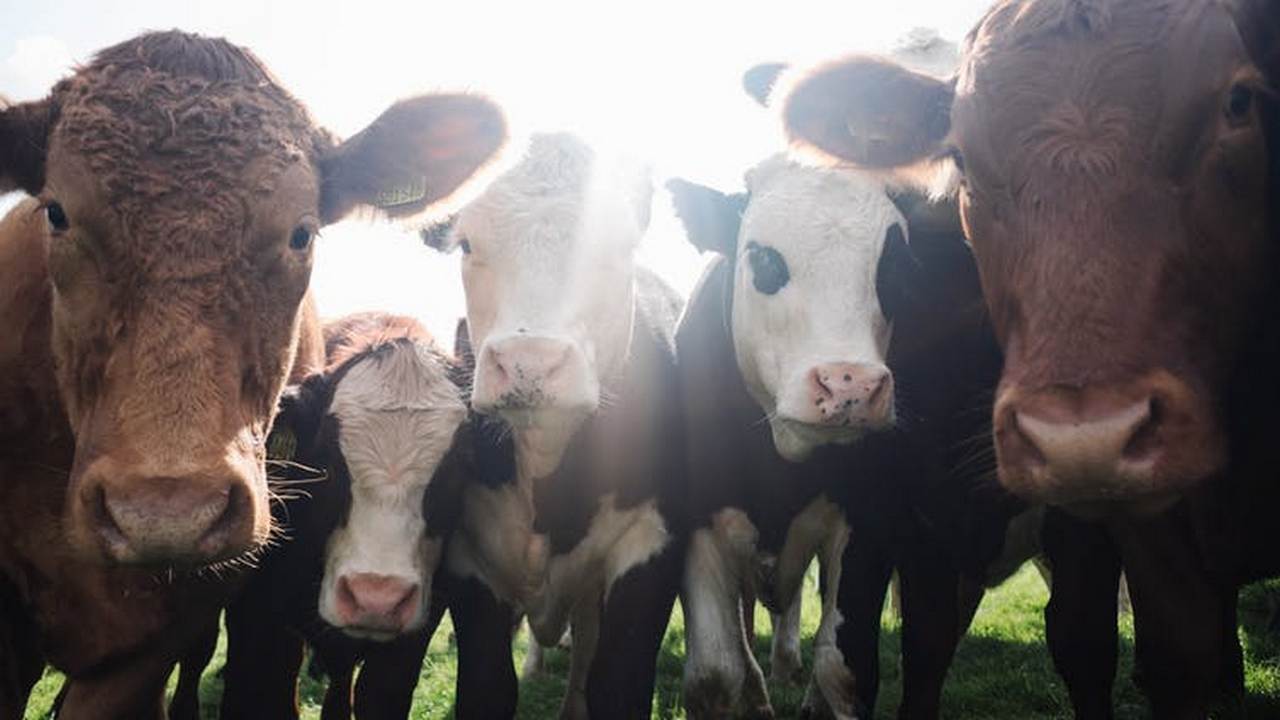 Climate change can be tackled by converting methane into carbon dioxide: Study Climate change can be tackled by converting methane into carbon dioxide: Study