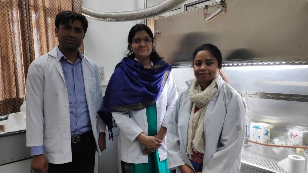 Combining antibiotics with silver nanoparticles help with drug resistance bacteria