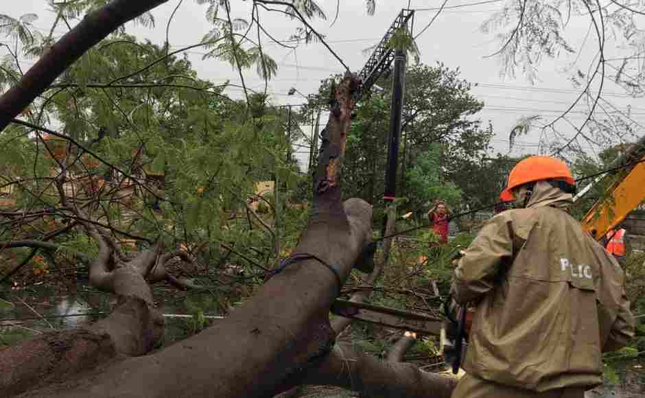 Numerous trees were uprooted in Bhubaneswar as Fani hit the capital city. Bibhuti Mohapatro /101Reporters Numerous trees were uprooted in Bhubaneswar as Fani hit the capital city. Bibhuti Mohapatro /101Reporters