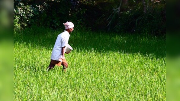 Climate change: Study maps rise in non-CO2 emission from cropland based agriculture over 30 years