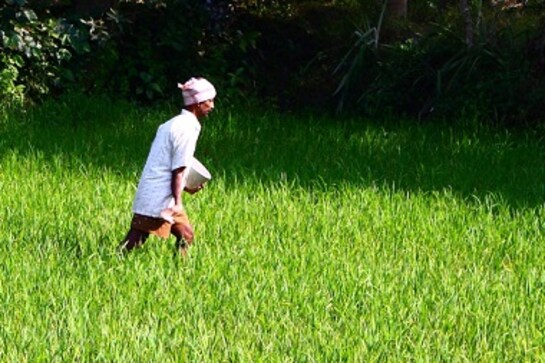 Climate change: Study maps rise in non-CO2 emission from cropland based agriculture over 30 years Climate change: Study maps rise in non-CO2 emission from cropland based agriculture over 30 years