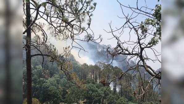Recent forest fires in Uttarakhand destroy huge swathes of green cover; experts blame errant monsoon