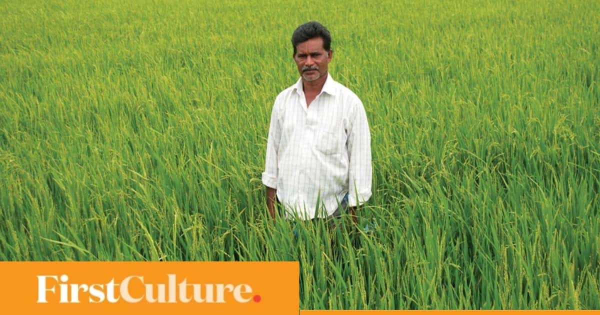 Cauvery, a river under stress In the rice bowl of Tamil Nadu, little water to spare Firstpost