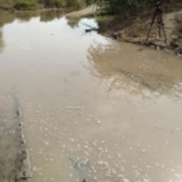 Farmers in Gujarat's Saurashtra seethe over being made pawns of electoral politics over water