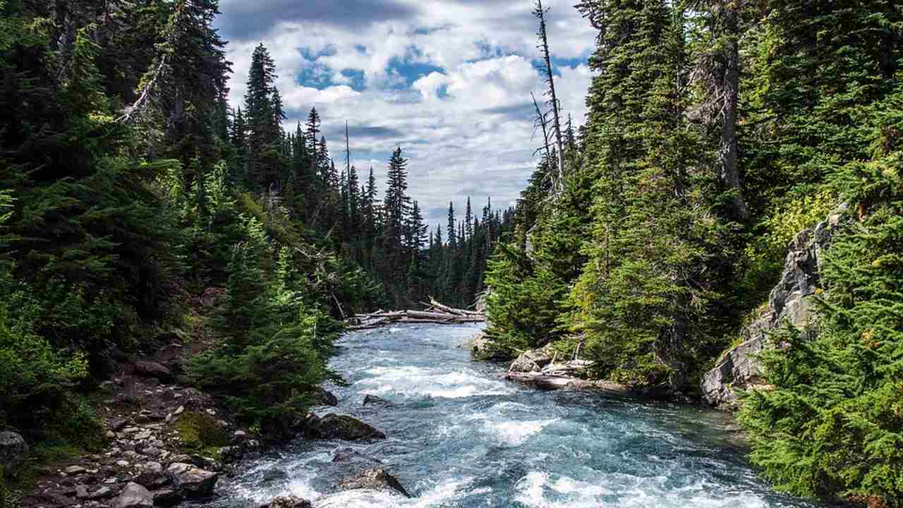 After India, Bangladesh protects its rivers by making them living entities and granting them legal status After India, Bangladesh protects its rivers by making them living entities and granting them legal status