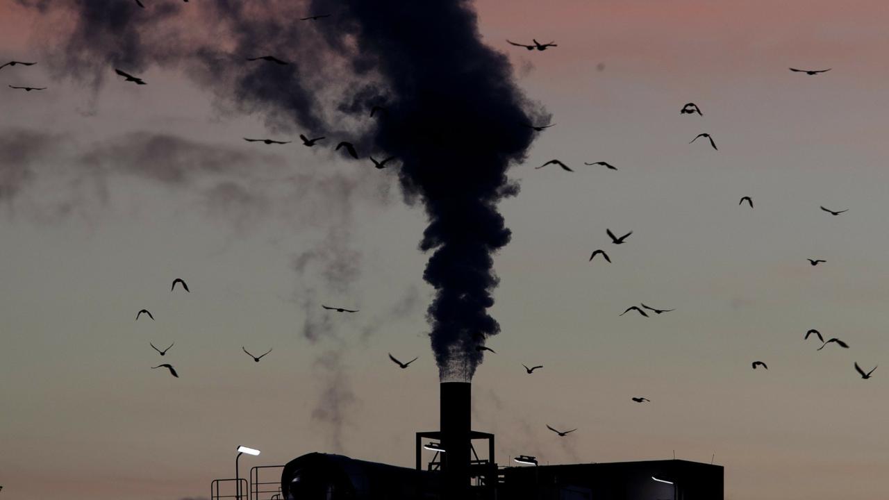 Birds fly past a smoking chimney in Ludwigshafen, Germany. AP