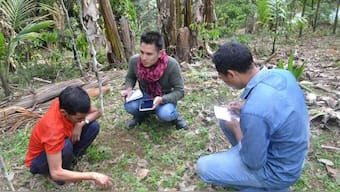 Scientists have found new medicinal plants used by ethnic tribes living in Manipur