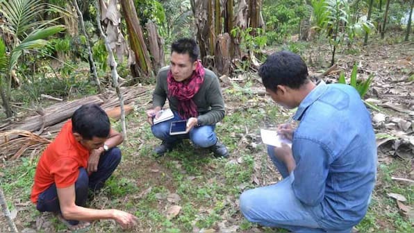 Scientists have found new medicinal plants used by ethnic tribes living in Manipur