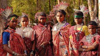 Wildlife conservation in India could benefit from collaboration with tribal communities
