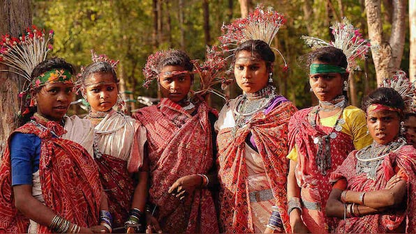 Wildlife conservation in India could benefit from collaboration with tribal communities