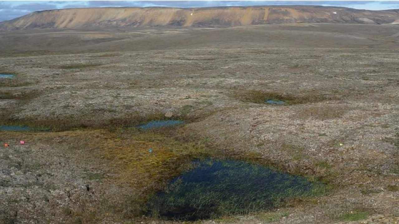 General view of a landscape of partially thawed Arctic permafrost near Mould Bay, Canada. Image credit: Reuters