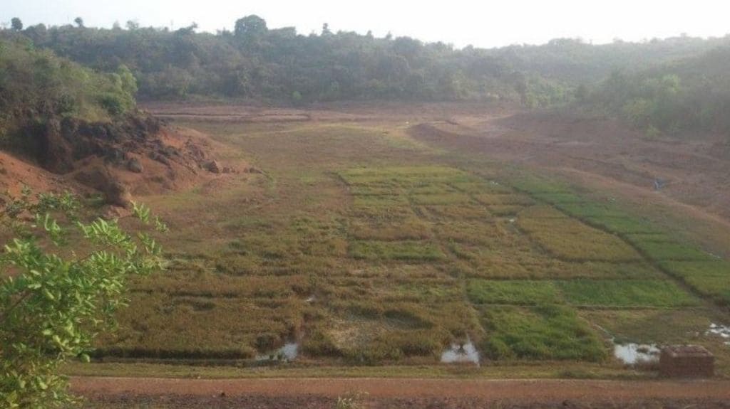 Dried up lake in 2016. Photo by Vixal Raw.