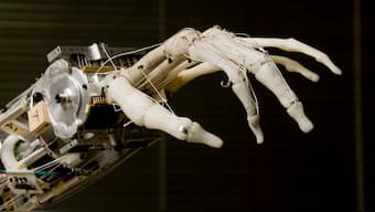 Newest artificial intelligence system can learn to see by touch, feel by seeing