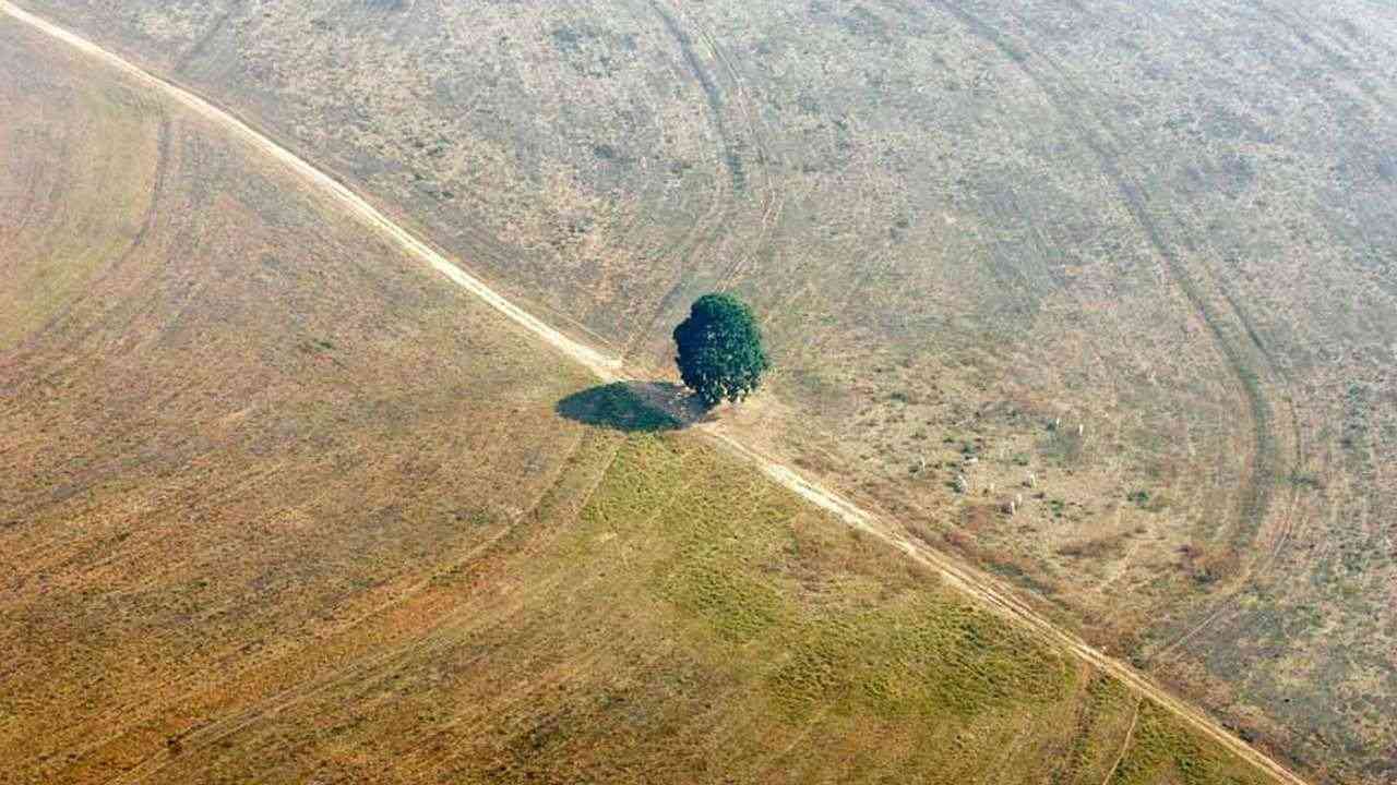 Land clearing, farming contribute a third of the world’s greenhouse gases: UN Report Land clearing, farming contribute a third of the world’s greenhouse gases: UN Report