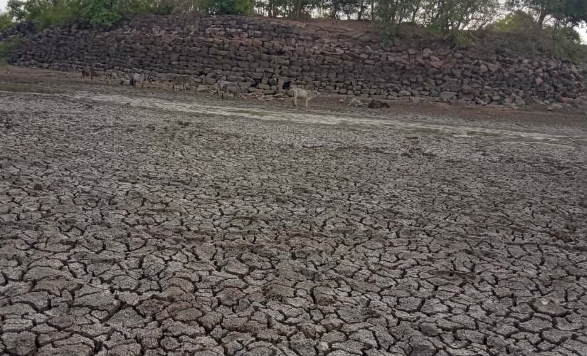 Villagers in Madhya Pradesh's Damoh are forced to drink from dirty pond ...