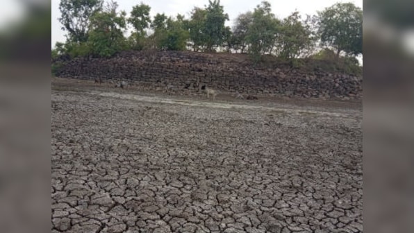 Ken-Betwa river link project boon or bane? Parched Bundelkhand residents hopeful but experts warn of ecological disaster