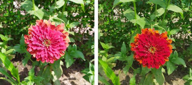 Crop 1 res