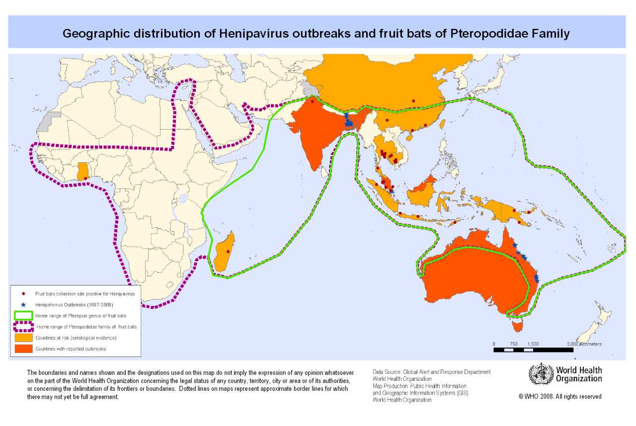 Global distribution of Nipah and Hendravirus risk. Image: WHO