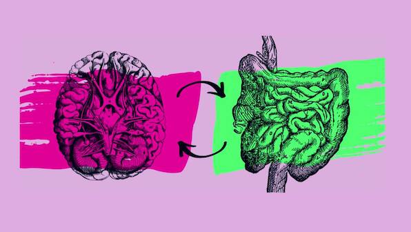 Gut-brain connection confirmed in people with autism for the first time in study