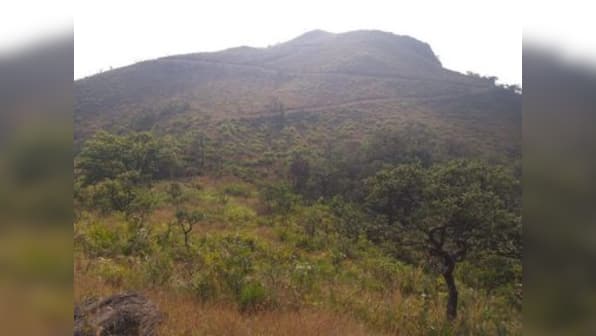 Tribals gherao hill in Chhattisgarh's Bailadila to oppose iron ore mining, claim excavation site central to religious beliefs