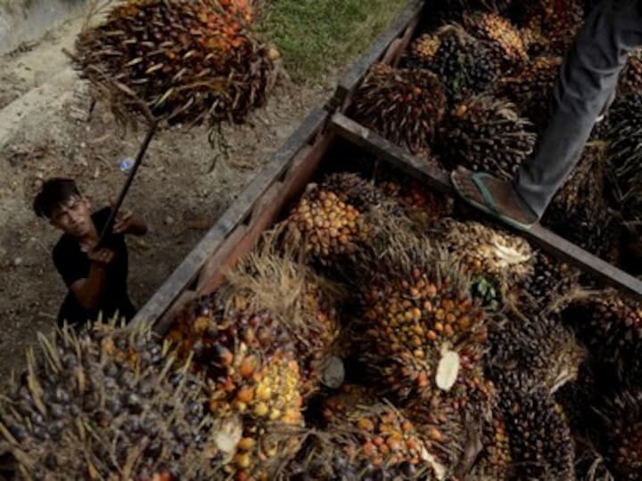 Curbs on import of refined palm oil product-specific, not country-specific; decision defined by trade policy, says MEA