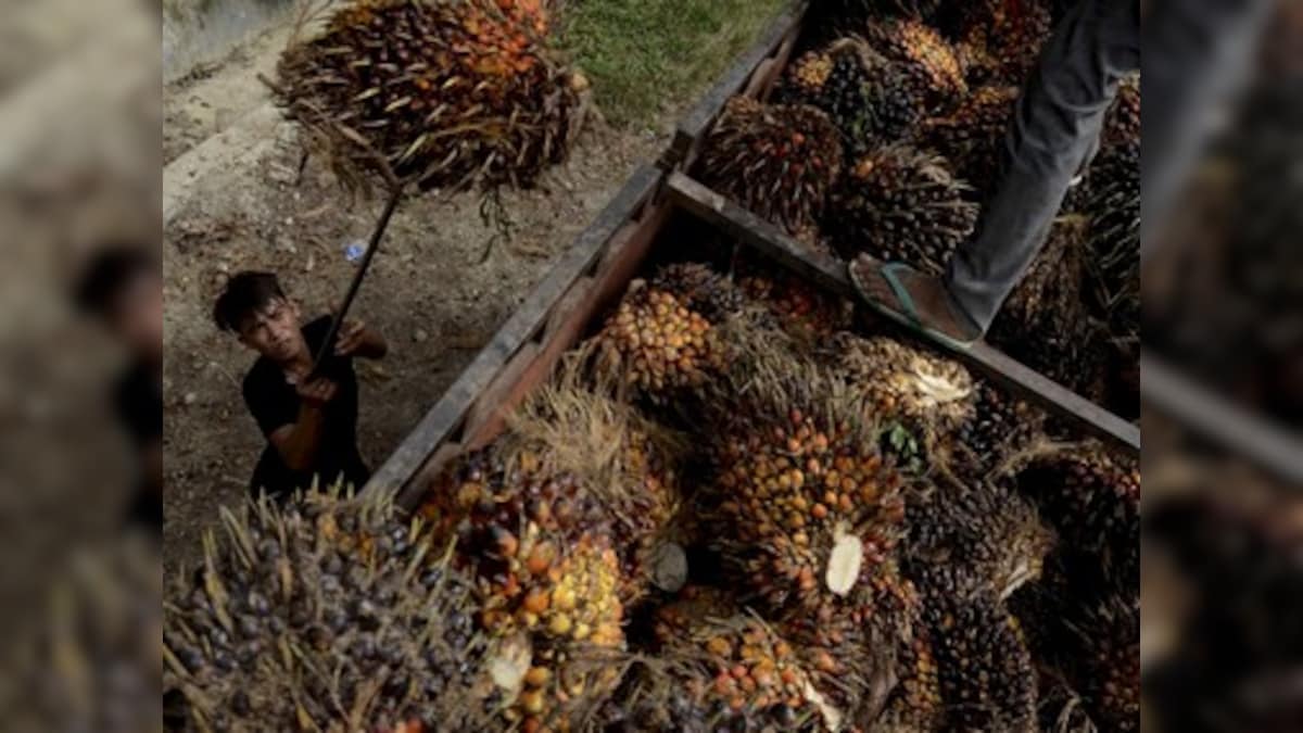 Malaysia says palm oil dispute with India 'temporary', to be resolved amicably between two nations – Firstpost