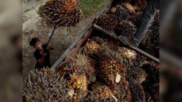 Malaysia says  palm oil dispute with India 'temporary', to be resolved amicably between two nations