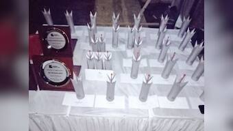 RedInk Awards 2019: Sonali Jain of Firstpost wins prize under 'Women Empowerment and Gender Equality' category