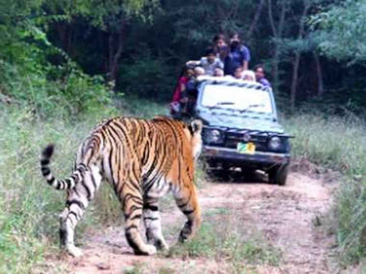 Rajasthan's Sariska may become tiger-less again, fear experts, as male relocated to reserve dies; forest department sends SOS to NTCA