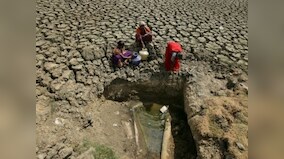Tamil Nadu water crisis: DMK workers protest seeking municipal administration minister's resignation in Coimbatore